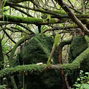 Meet your Posher, Martha